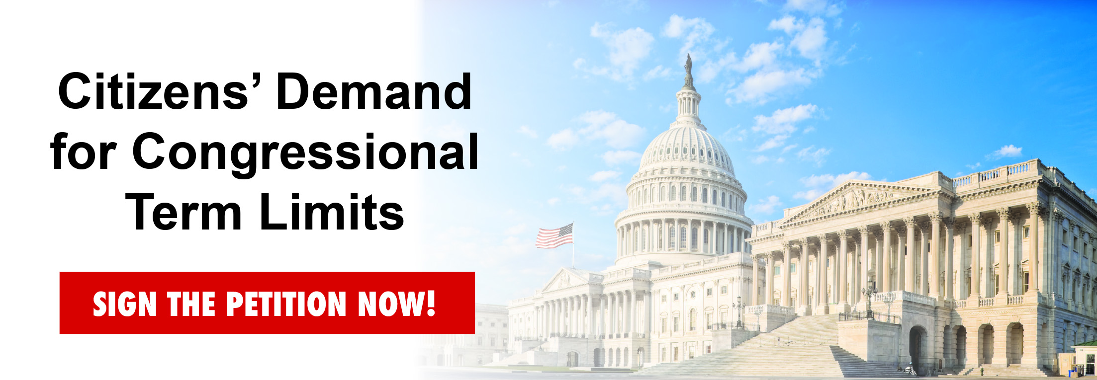 Support Term Limits for Congress!